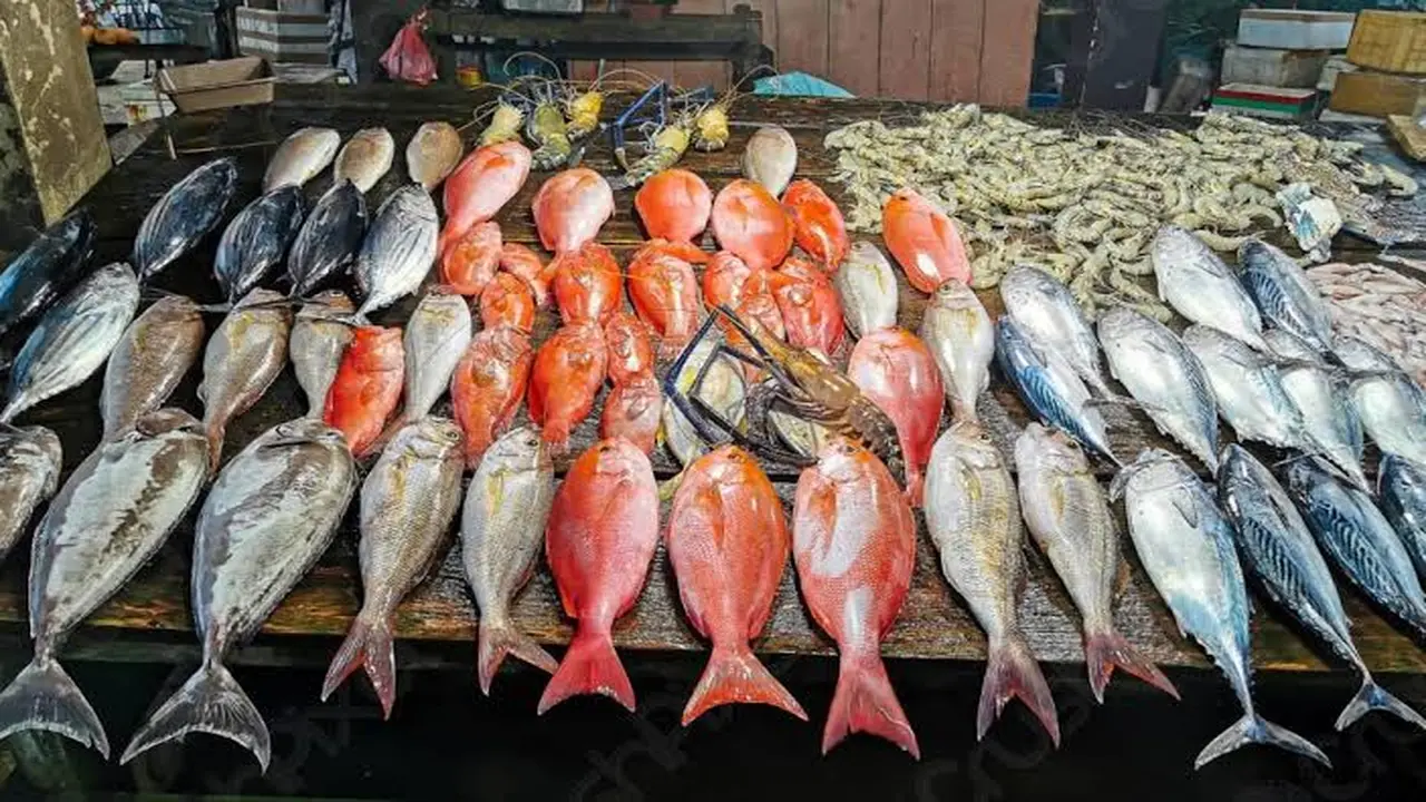 تباين قائمة أسعار السمك في الأسواق المصرية خلال تعاملات يوم الأربعاء 8-4-2026